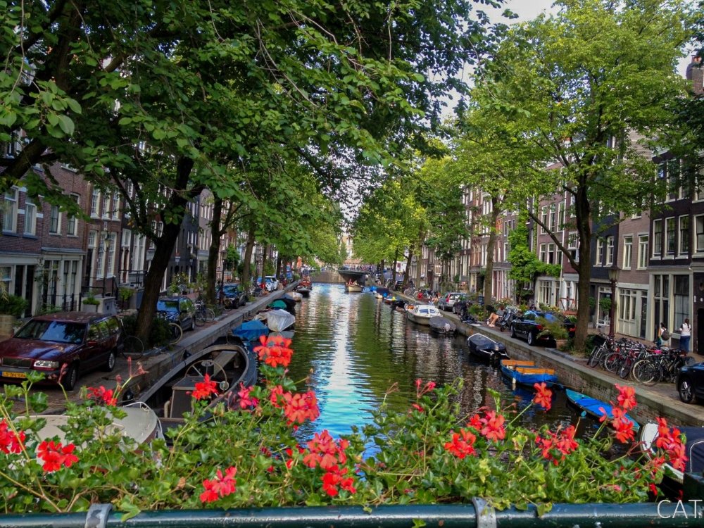 canal in Amsterdam