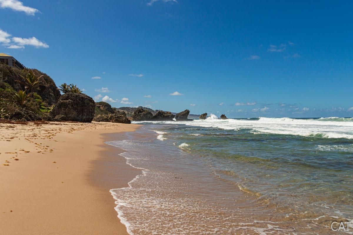 10 días en Barbados