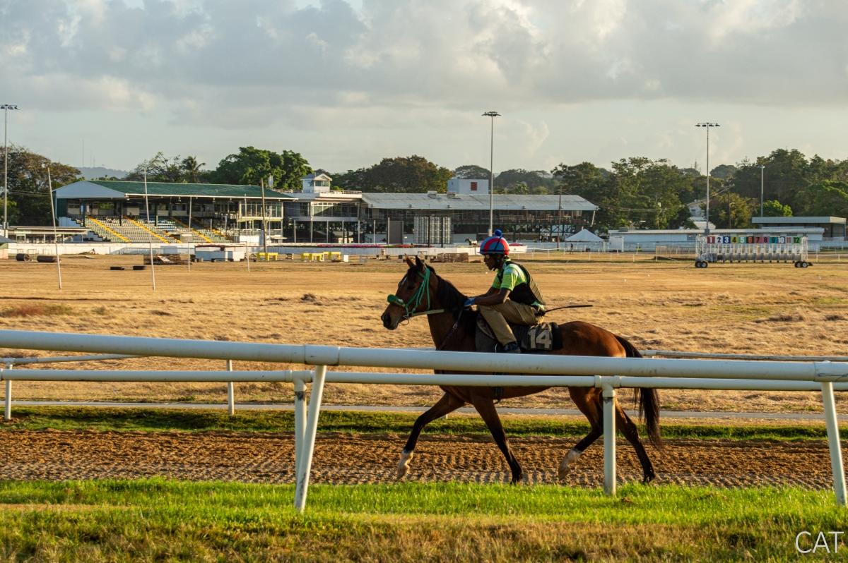 10 días en Barbados