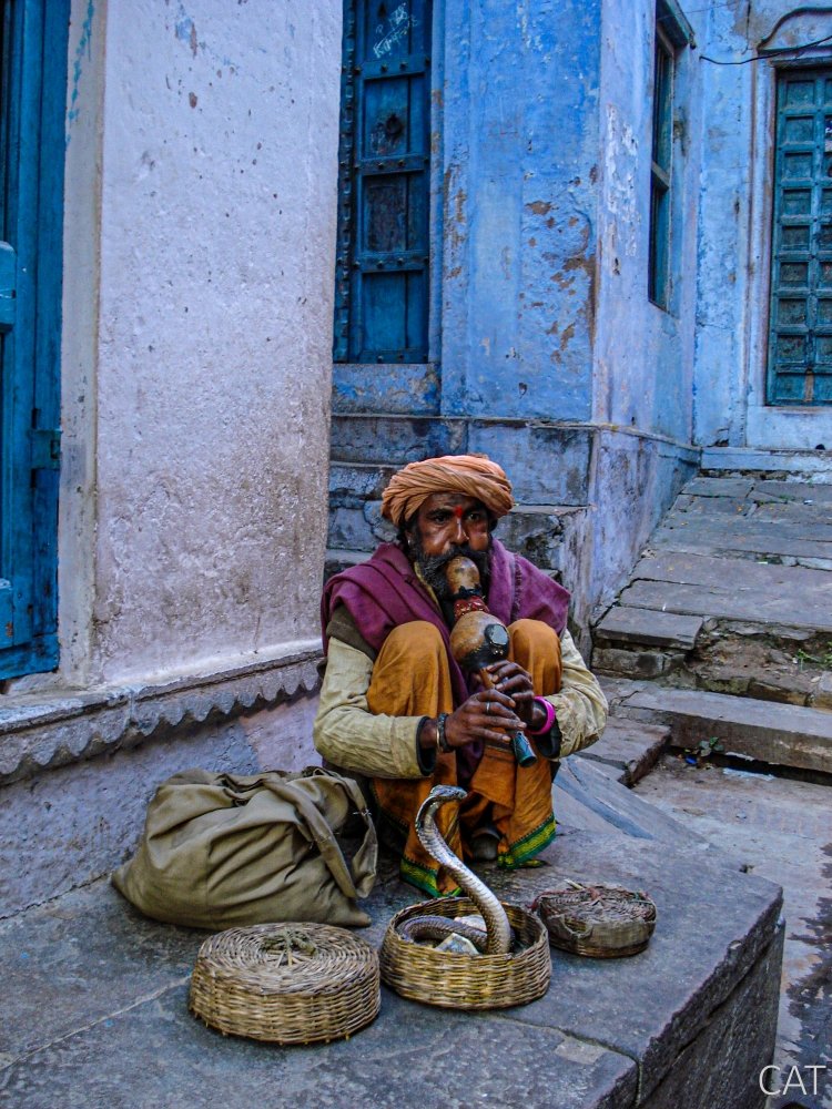 Snake charmer