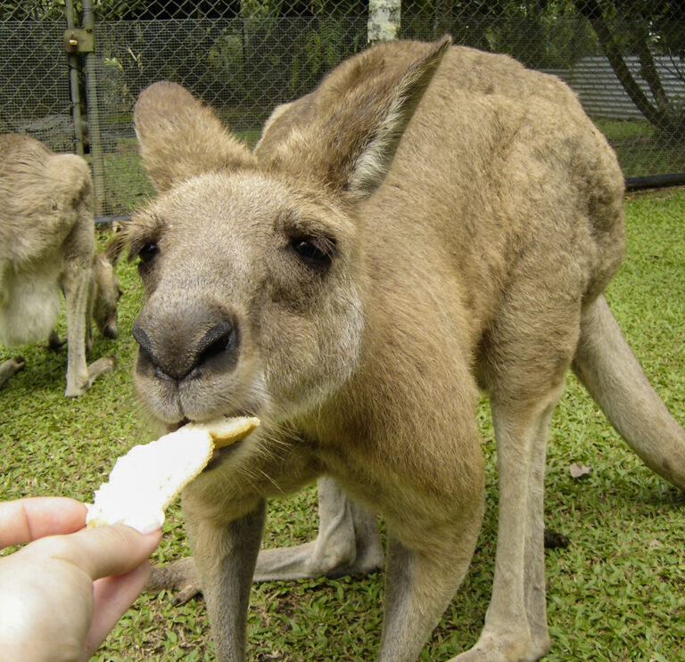 Delicious Food